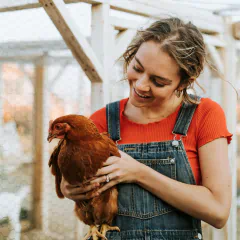Produtora rural segurando galinha poedeira em ambiente de criação com dedição ao bem-estar animal