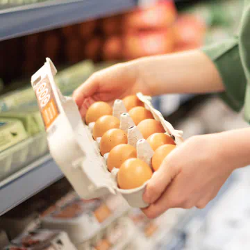 Mãos segurando recipiente com ovos certificados Produtor do Bem